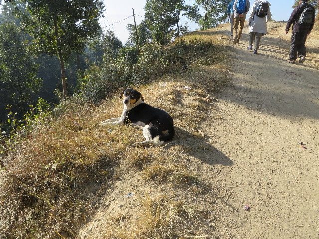 ファイル 3989-1.jpg