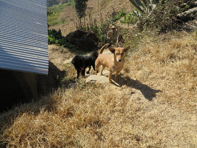 ファイル 3989-2.jpg