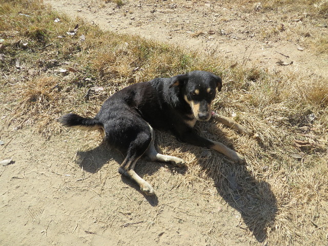 ファイル 3989-3.jpg