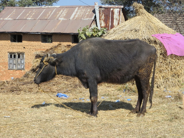 ファイル 3989-4.jpg