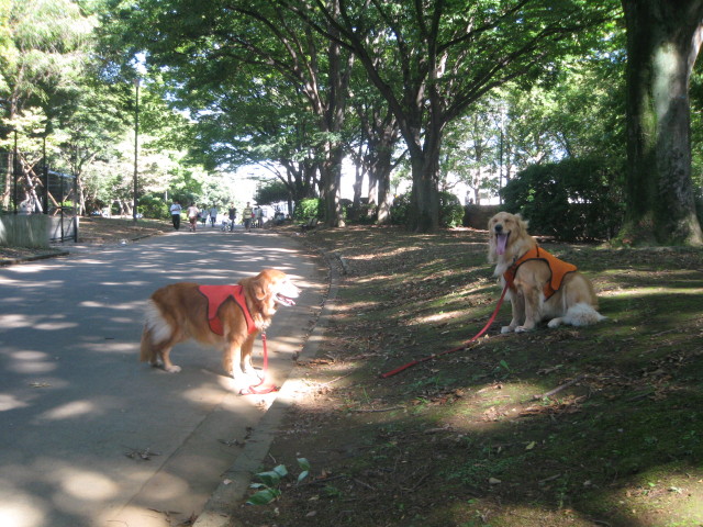 ファイル 399-3.jpg