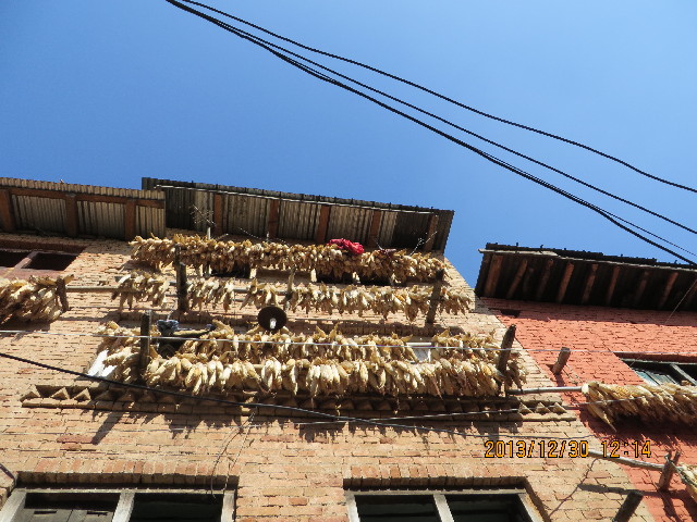 ファイル 3992-2.jpg