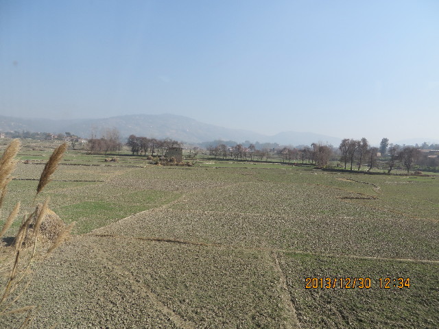 ファイル 3992-3.jpg