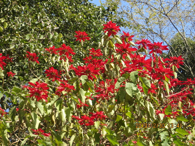 ファイル 3992-5.jpg