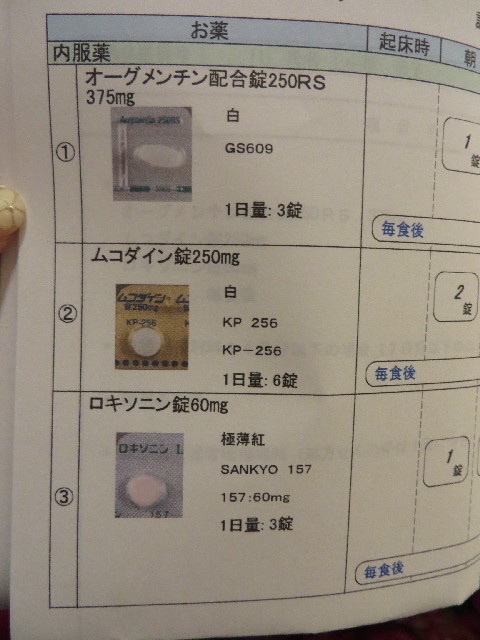 ファイル 3998-5.jpg