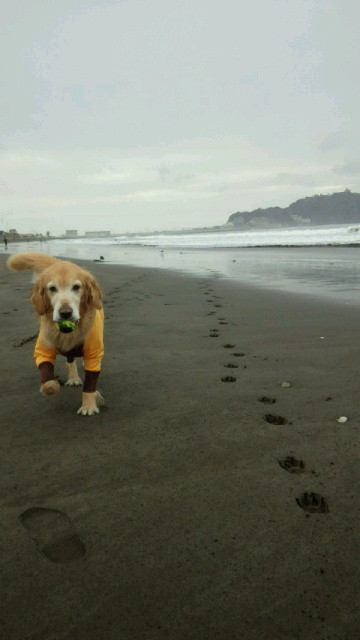 ファイル 4000-1.jpg