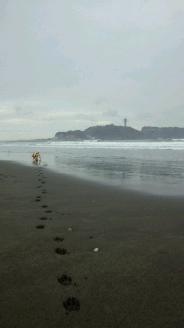 ファイル 4000-3.jpg