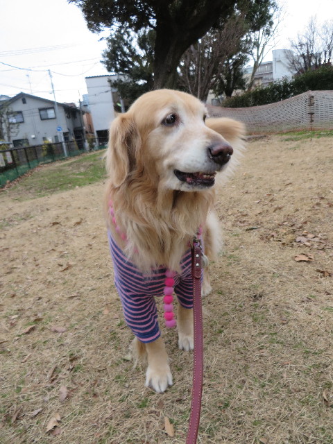 ファイル 4001-3.jpg