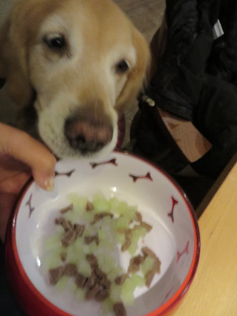 ファイル 4001-5.jpg