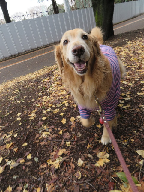 ファイル 4002-1.jpg