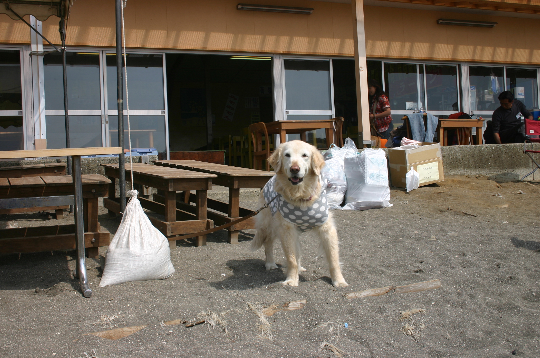 ファイル 4007-2.jpg