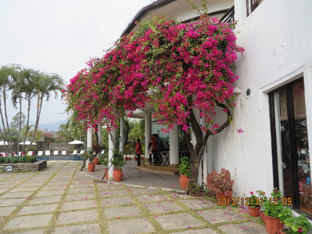 ファイル 4009-3.jpg