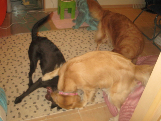 ファイル 401-5.jpg