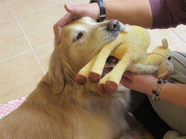 ファイル 4010-1.jpg