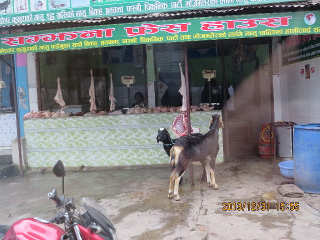 ファイル 4013-5.jpg