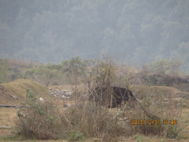 ファイル 4016-4.jpg