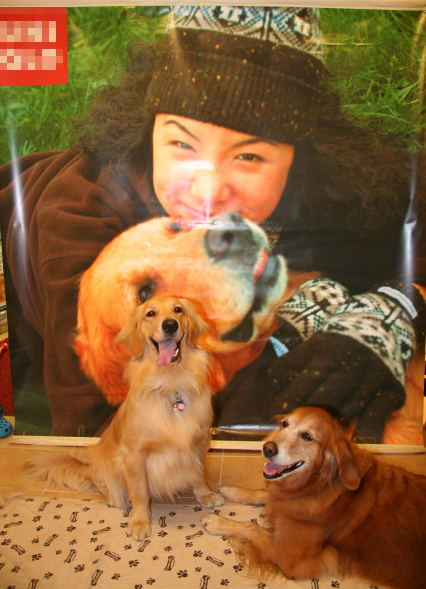 ファイル 402-5.jpg