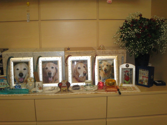 ファイル 403-1.jpg