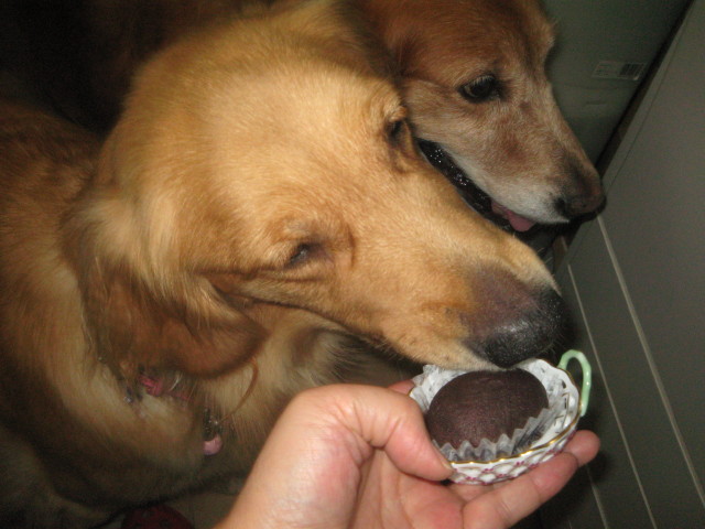 ファイル 403-2.jpg