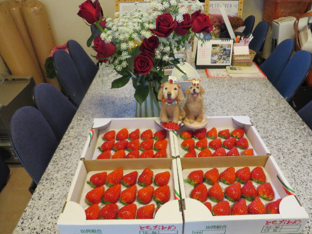 ファイル 4030-5.jpg