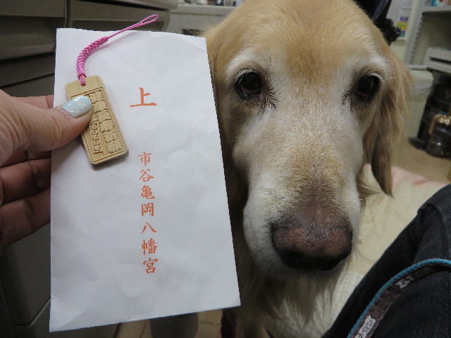 ファイル 4034-3.jpg