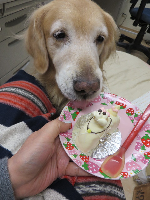 ファイル 4034-4.jpg