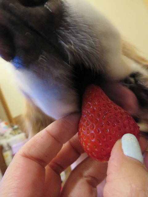 ファイル 4034-5.jpg