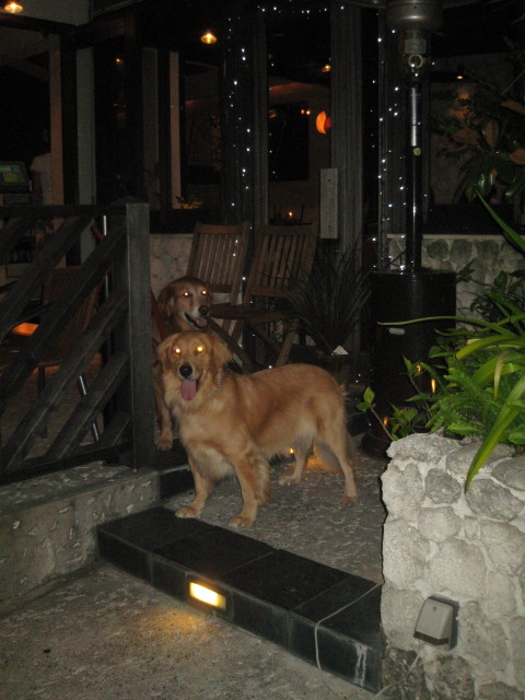 ファイル 404-3.jpg