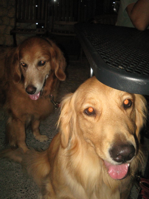 ファイル 404-4.jpg