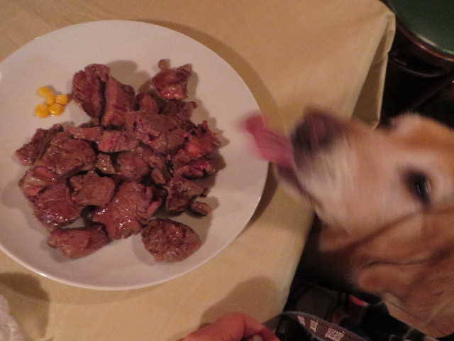 ファイル 4042-1.jpg