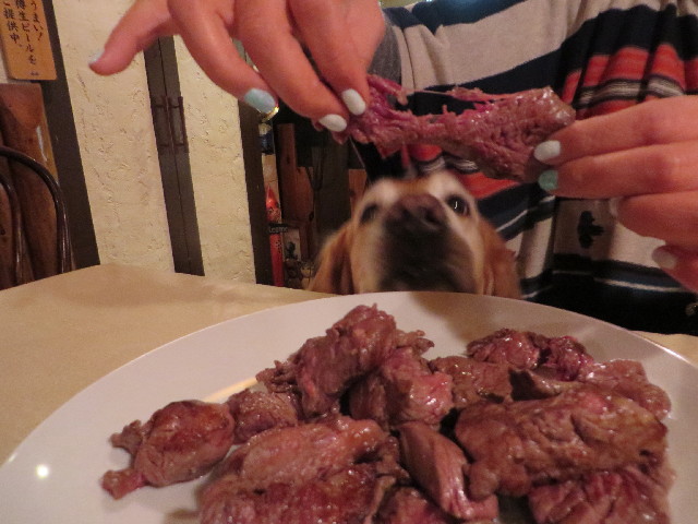 ファイル 4042-2.jpg