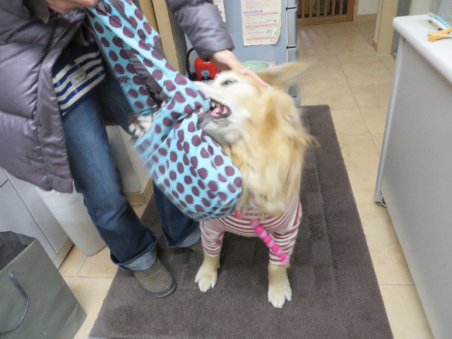 ファイル 4043-3.jpg