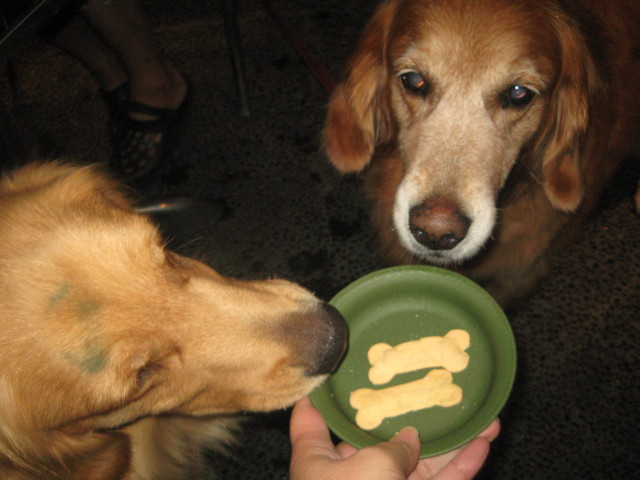 ファイル 405-2.jpg