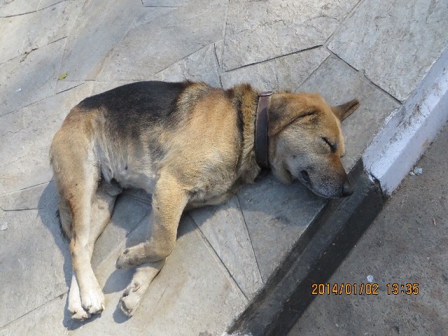 ファイル 4055-5.jpg