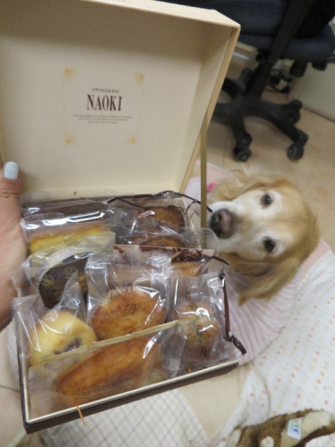 ファイル 4062-2.jpg