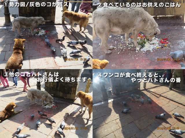 ファイル 4067-3.jpg