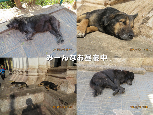 ファイル 4068-1.jpg