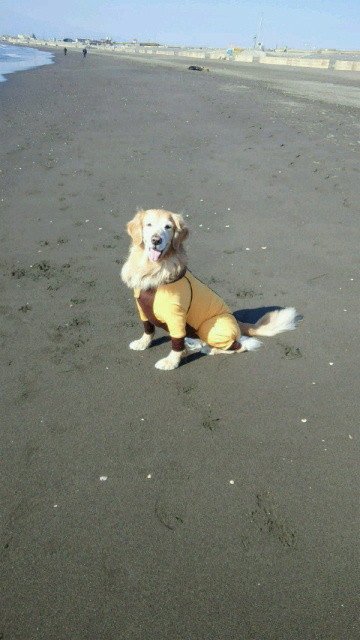 ファイル 4078-4.jpg