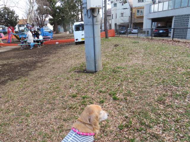 ファイル 4079-2.jpg