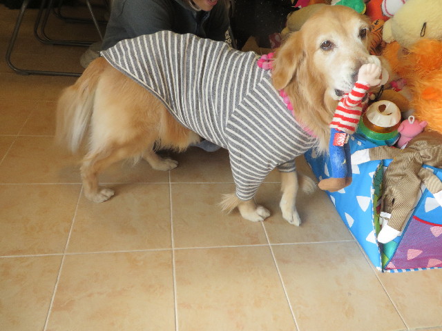 ファイル 4080-2.jpg