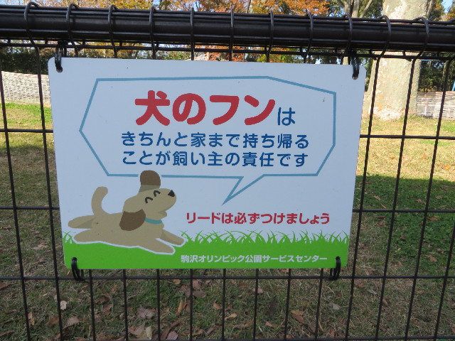 ファイル 4080-5.jpg