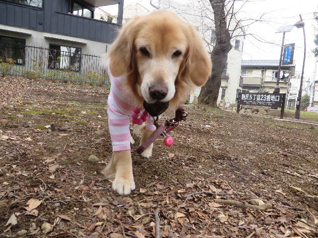 ファイル 4082-4.jpg