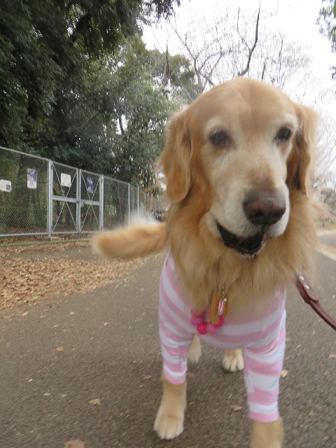 ファイル 4082-5.jpg