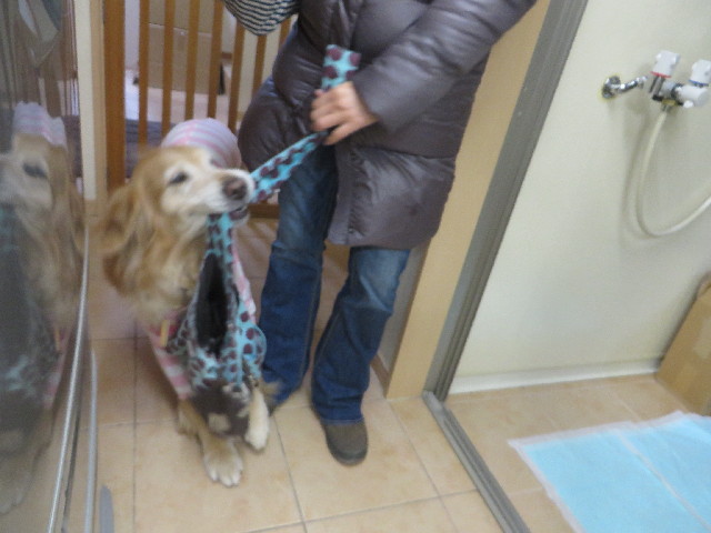 ファイル 4083-2.jpg