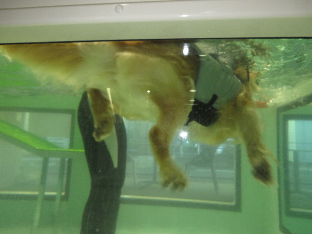 ファイル 4084-4.jpg