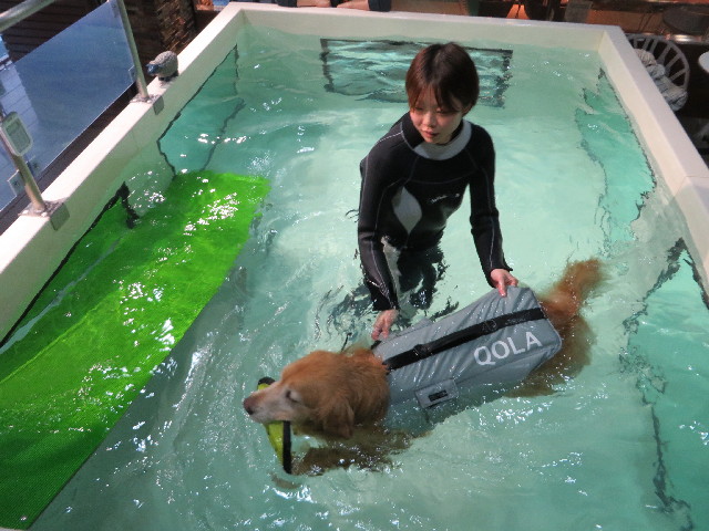 ファイル 4085-1.jpg