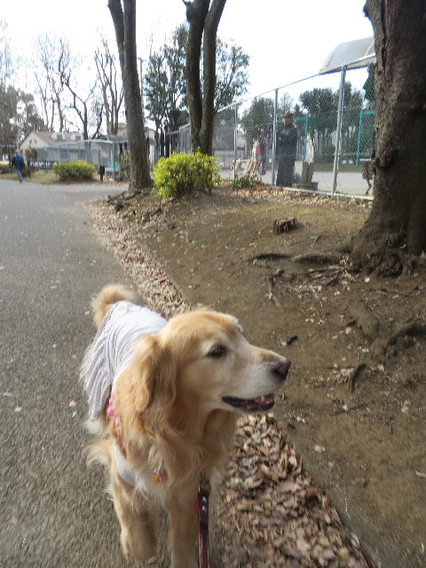 ファイル 4087-3.jpg