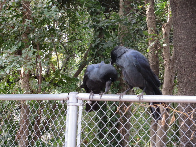 ファイル 4087-4.jpg