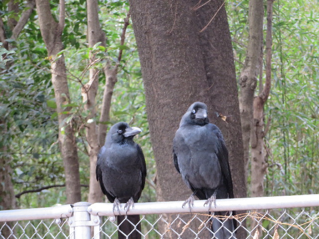 ファイル 4087-5.jpg