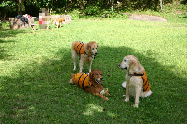 ファイル 409-1.jpg